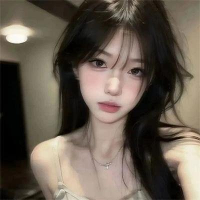 美国派9